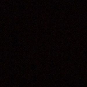 Meet your Posher, Isabella